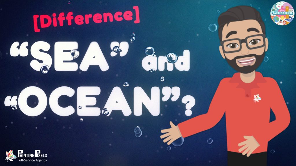 Sea Vs Ocean What S The Real Difference That S Fascinating