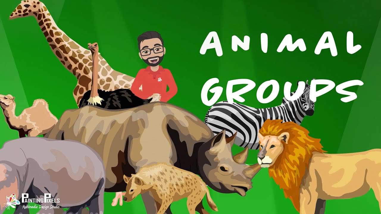 Animal Group Terms That s Fascinating 