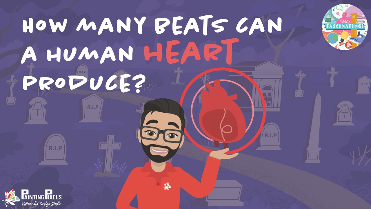 How Many Beats Can a Human Heart Produce?