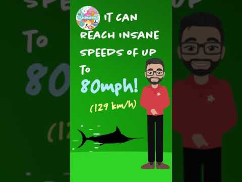 The Fastest Fish in the World