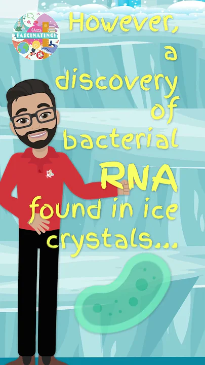 How Long Does DNA Take to Disappear Naturally?