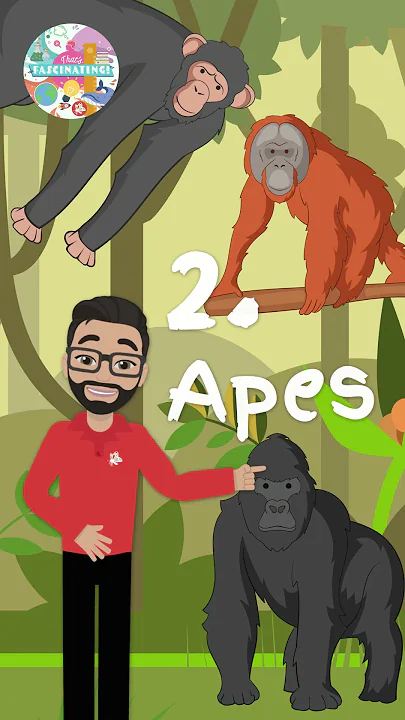 The 5 Most Intelligent Animals in the World