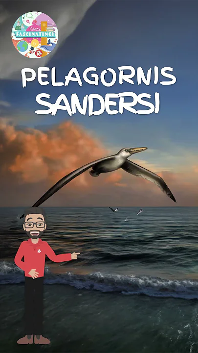 The Largest Flying Animal to Ever Live