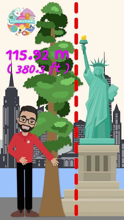The Single Tallest Tree in the World