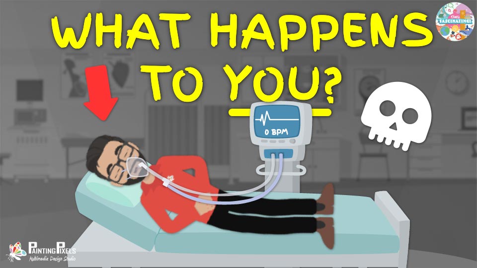 What Happens as You Die?
