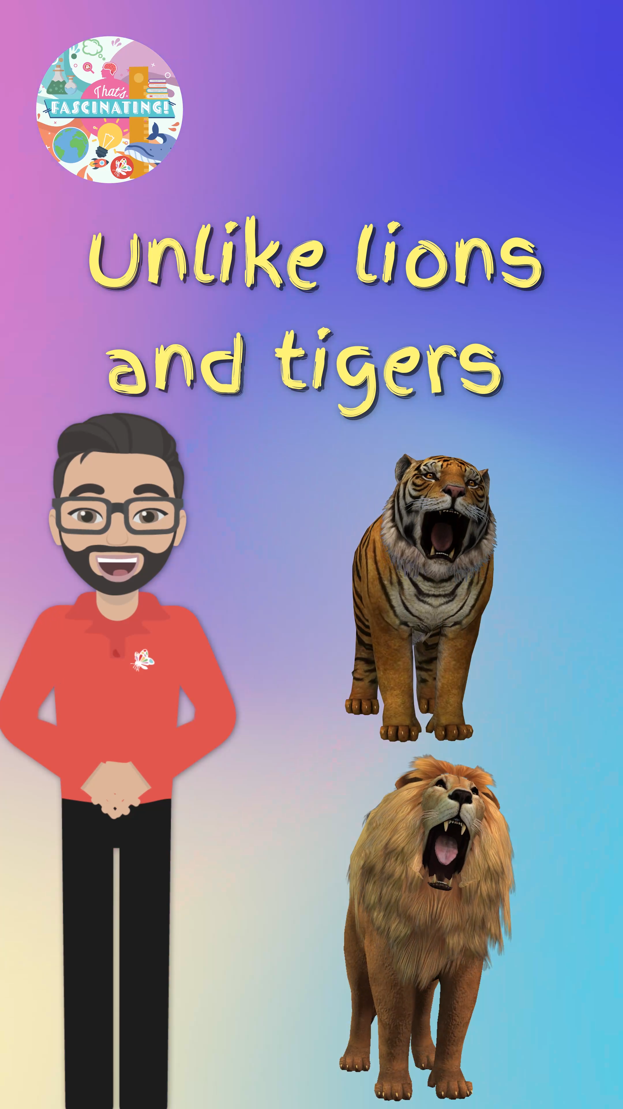 Why Cheetahs Don’t Roar but Purr Instead…