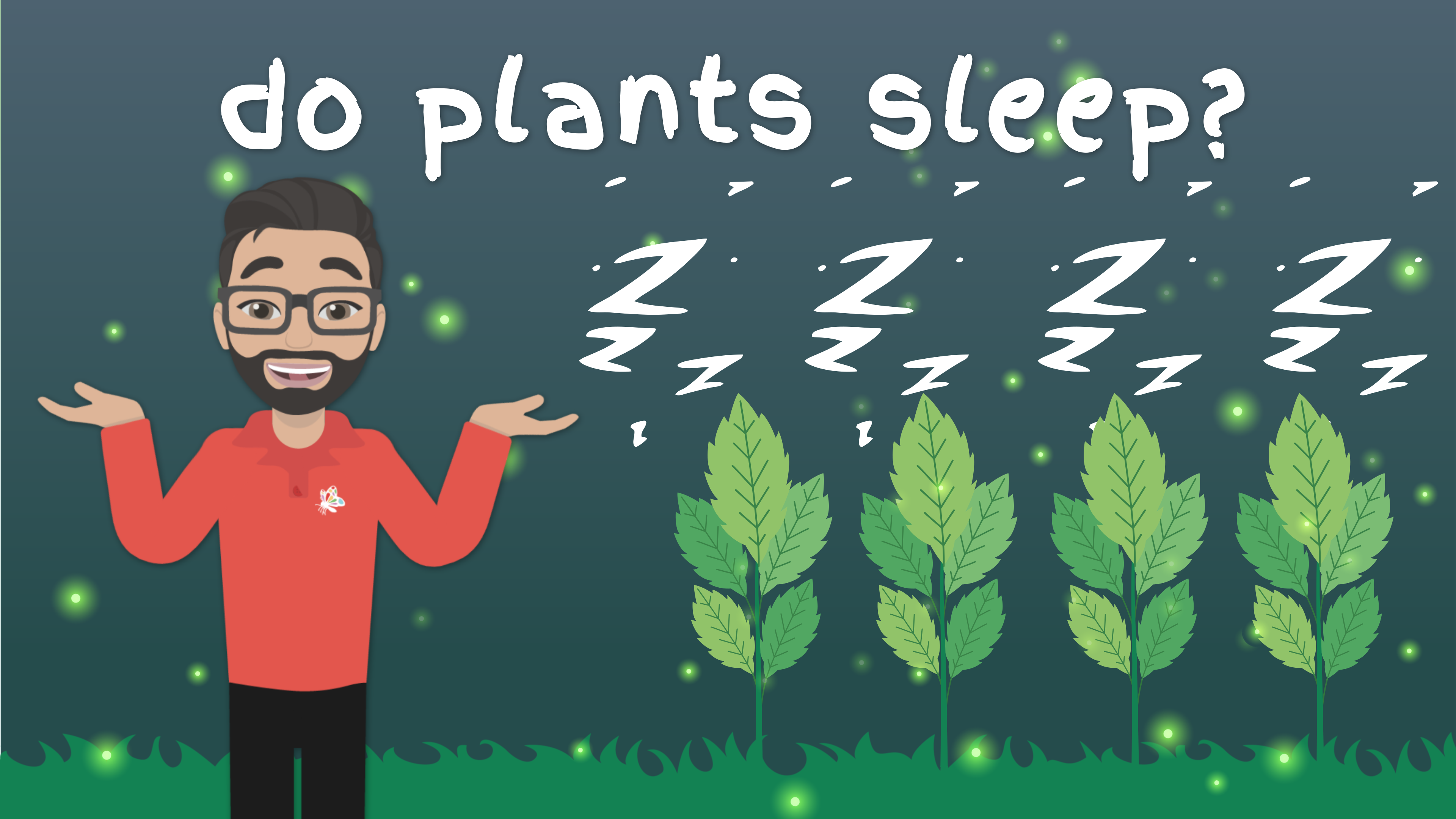 Do Plants Sleep?